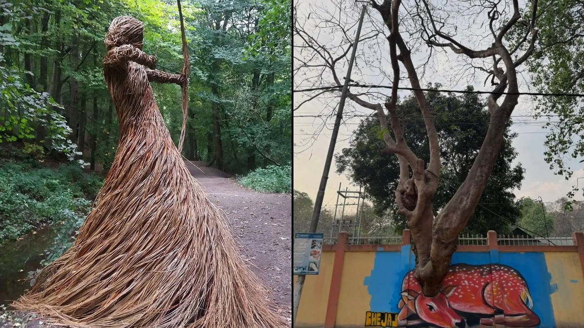 When Trees Become Art (12 Photos)