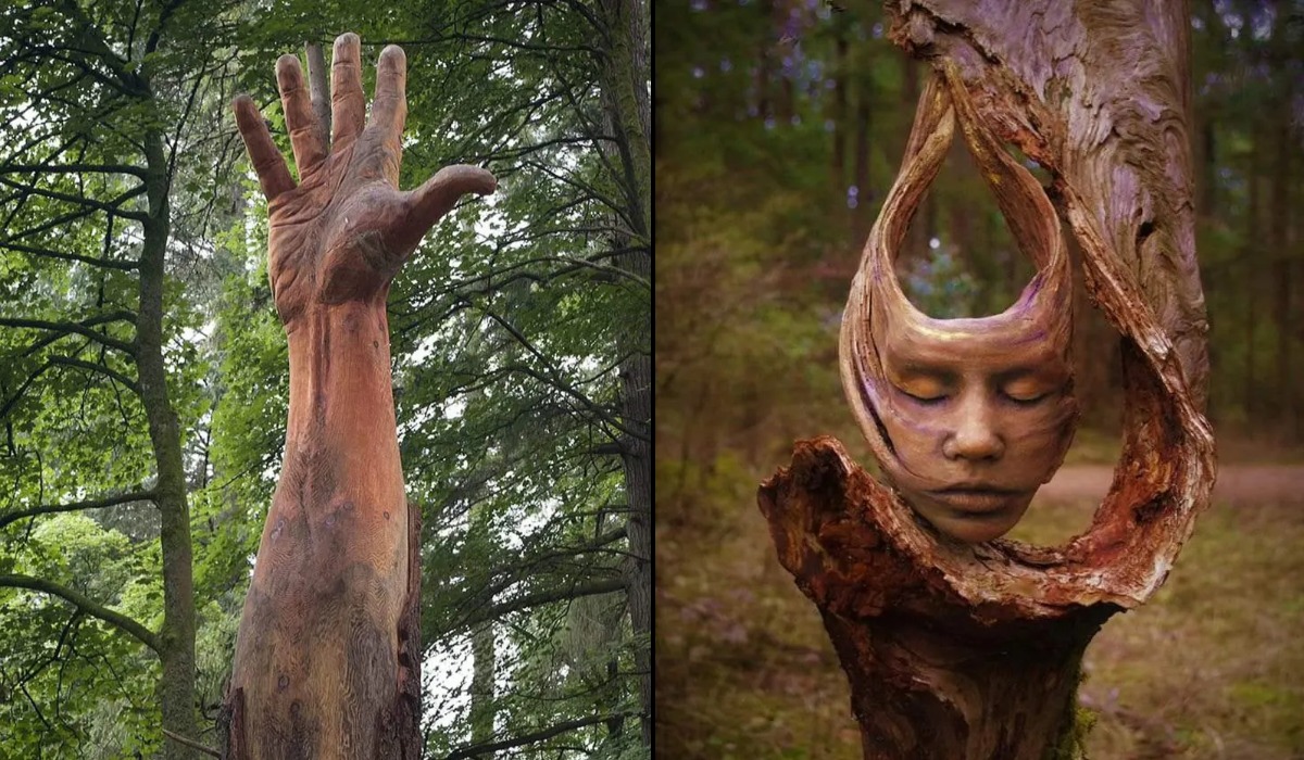 When Nature Finishes the Artwork (10 Photos) - STREET ART UTOPIA