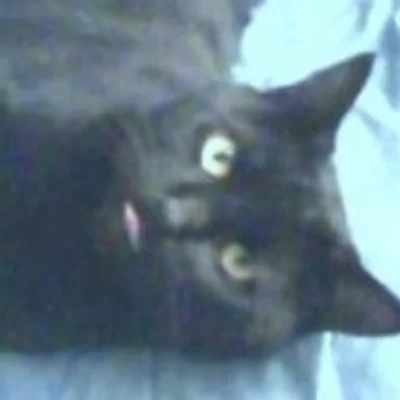 rolothomasi 🇺🇸